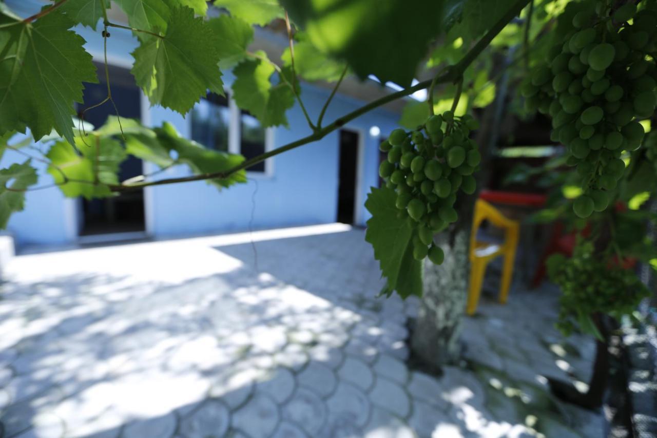 Lilia Guesthouse Szenaki Kültér fotó